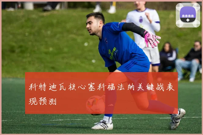 科特迪瓦核心塞科福法纳关键战表现预测
